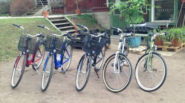 Cykelpool